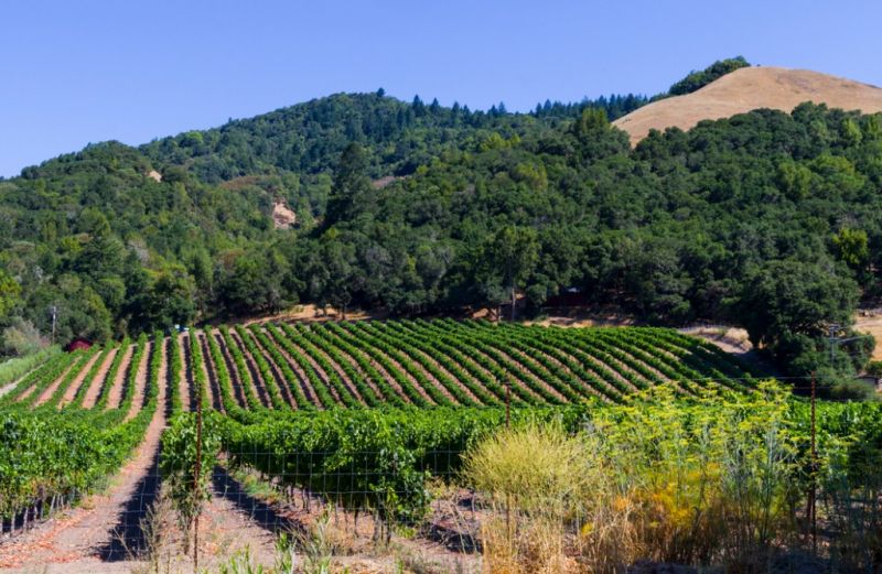 Local Skylight Sealing in Santa Rosa, CA